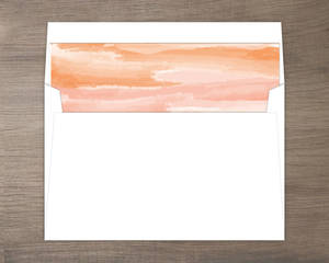 Orange Sky Desert Envelope Liner